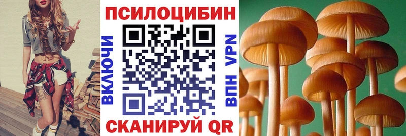 Псилоцибиновые грибы Psilocybine cubensis  Купить  Королёв 